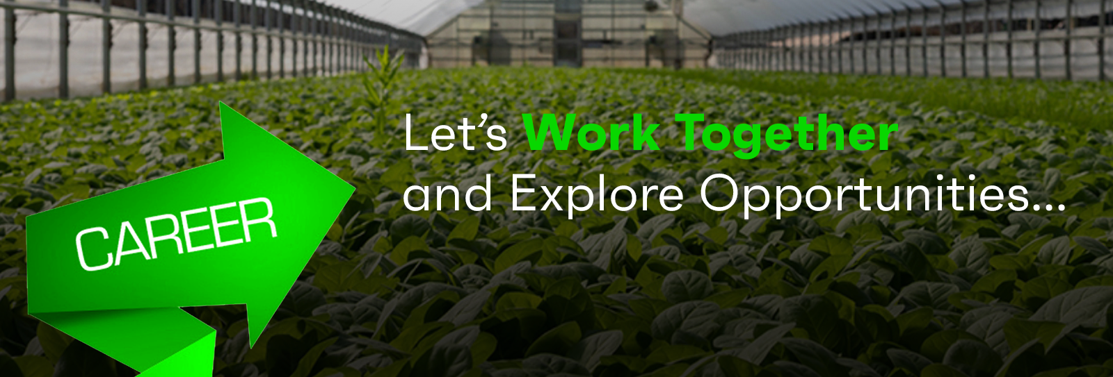 Why Work With Us — Careers at T-Farms